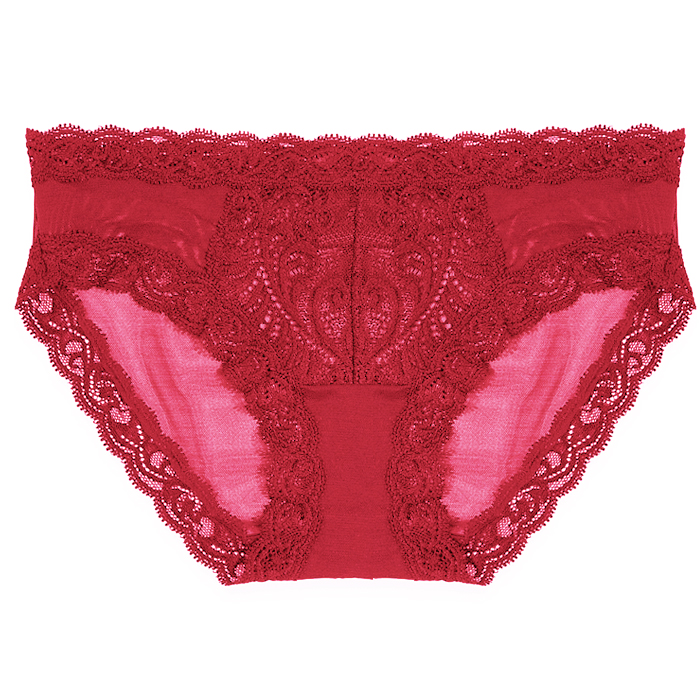 Natori-feathers-hipster-brief-753023-chili