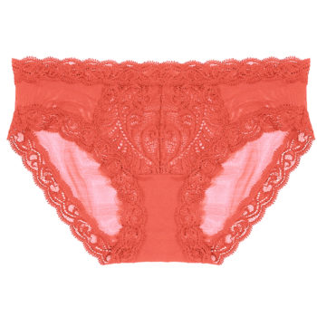 Natori-feathers-hipster-brief-753023-damask_pink